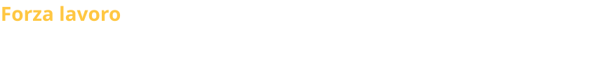 Forza lavoro Lo studio si avvale inoltre di giovane forza lavoro composta da dipendenti e da praticanti consulenti del lavoro, che quotidianamente garantiscono alle aziende, con capacità e dedizione, il miglior servizio.