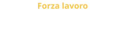 Forza lavoro Lo studio si avvale inoltre di giovane forza lavoro composta da dipendenti e da praticanti consulenti del lavoro, che quotidianamente garantiscono alle aziende, con capacità e dedizione, il miglior servizio.